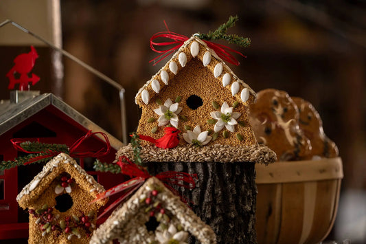 Poinsettia House Mr Bird