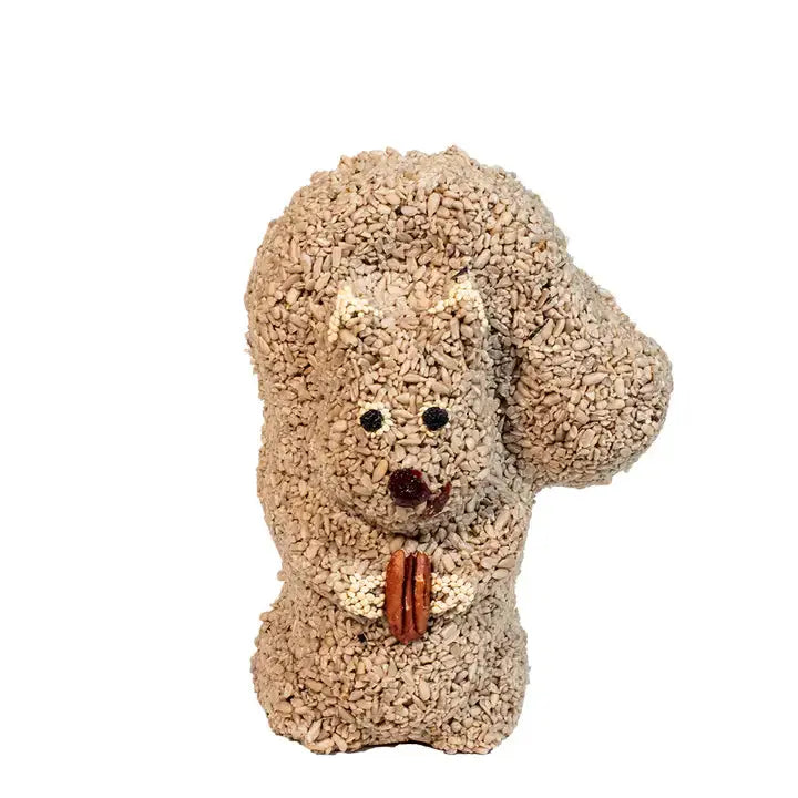 Nutzo Squirrel Carson's She Shed