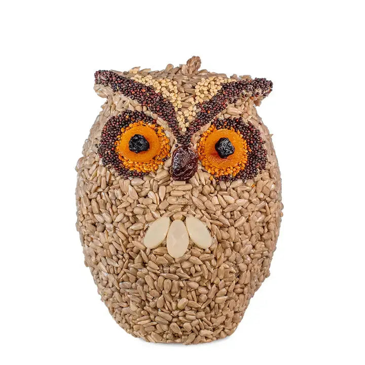 Whoo-lio Owl Carson's She Shed