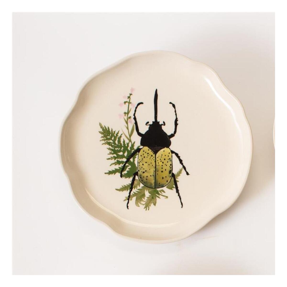 Plate – Botanical Beetles, Small – Style 1