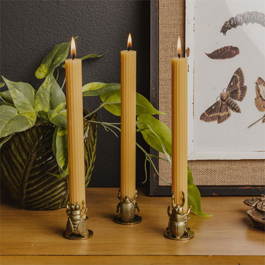 Candle Holders - Short Golden Bugs