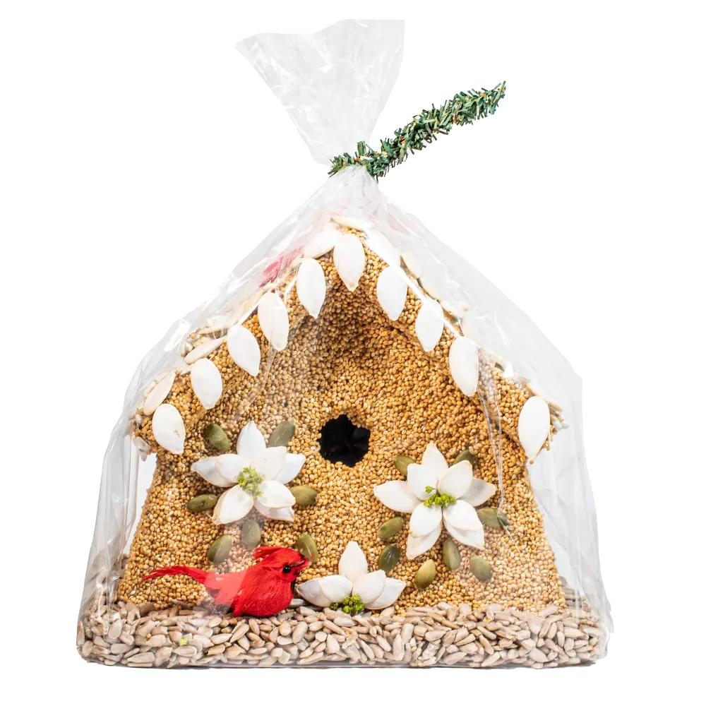 Poinsettia House Mr Bird