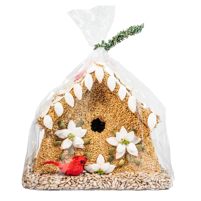 Poinsettia House Mr Bird