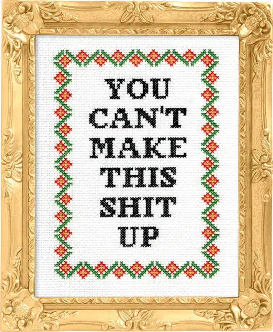 You Can't Make This Shit Up Subversive Cross Stitch