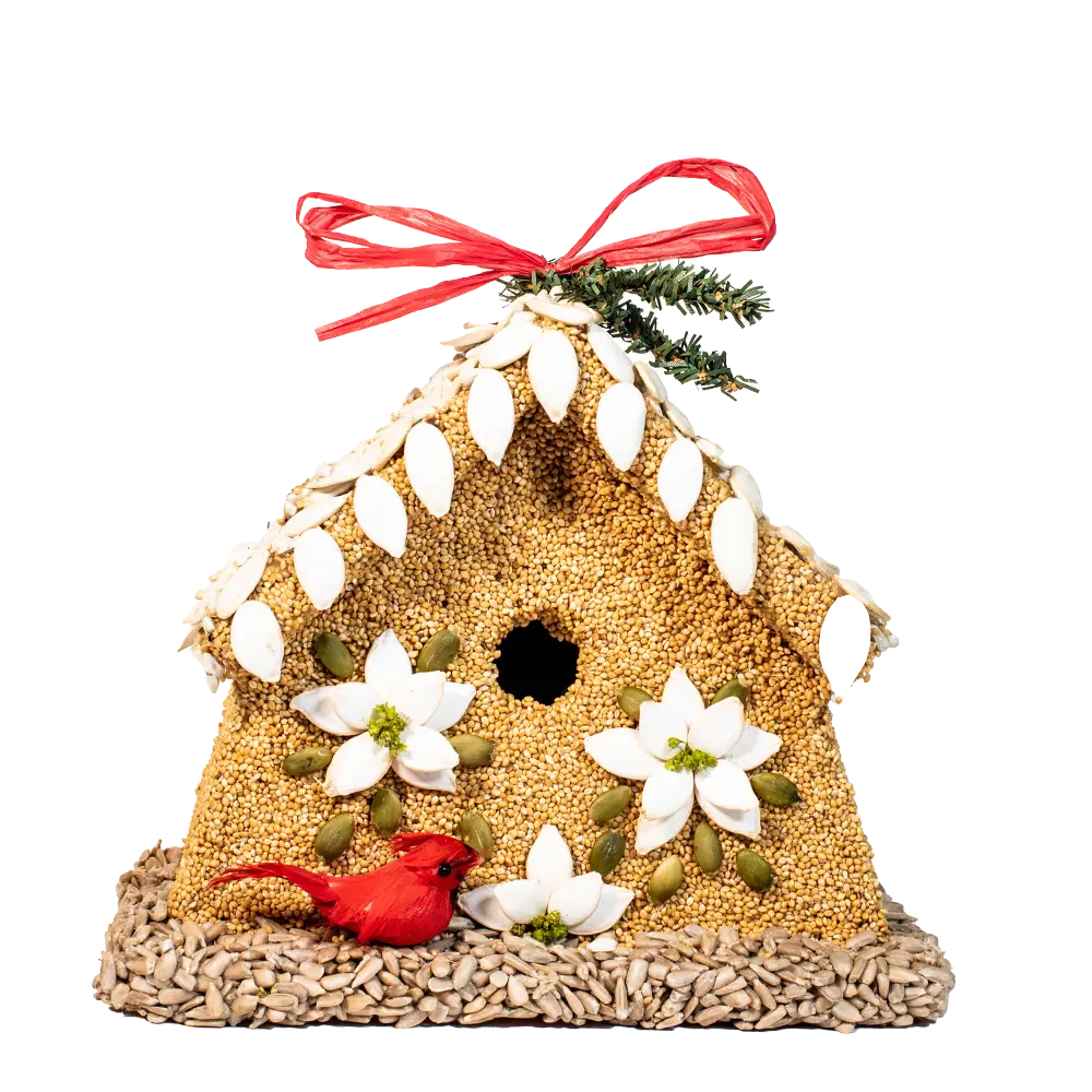 Poinsettia House Mr Bird